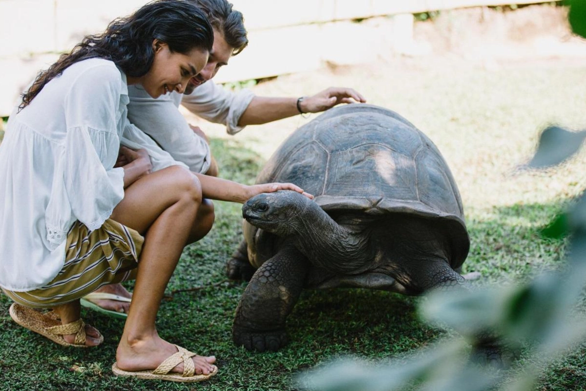 Raffles Seychelles - Hotel Photo 36