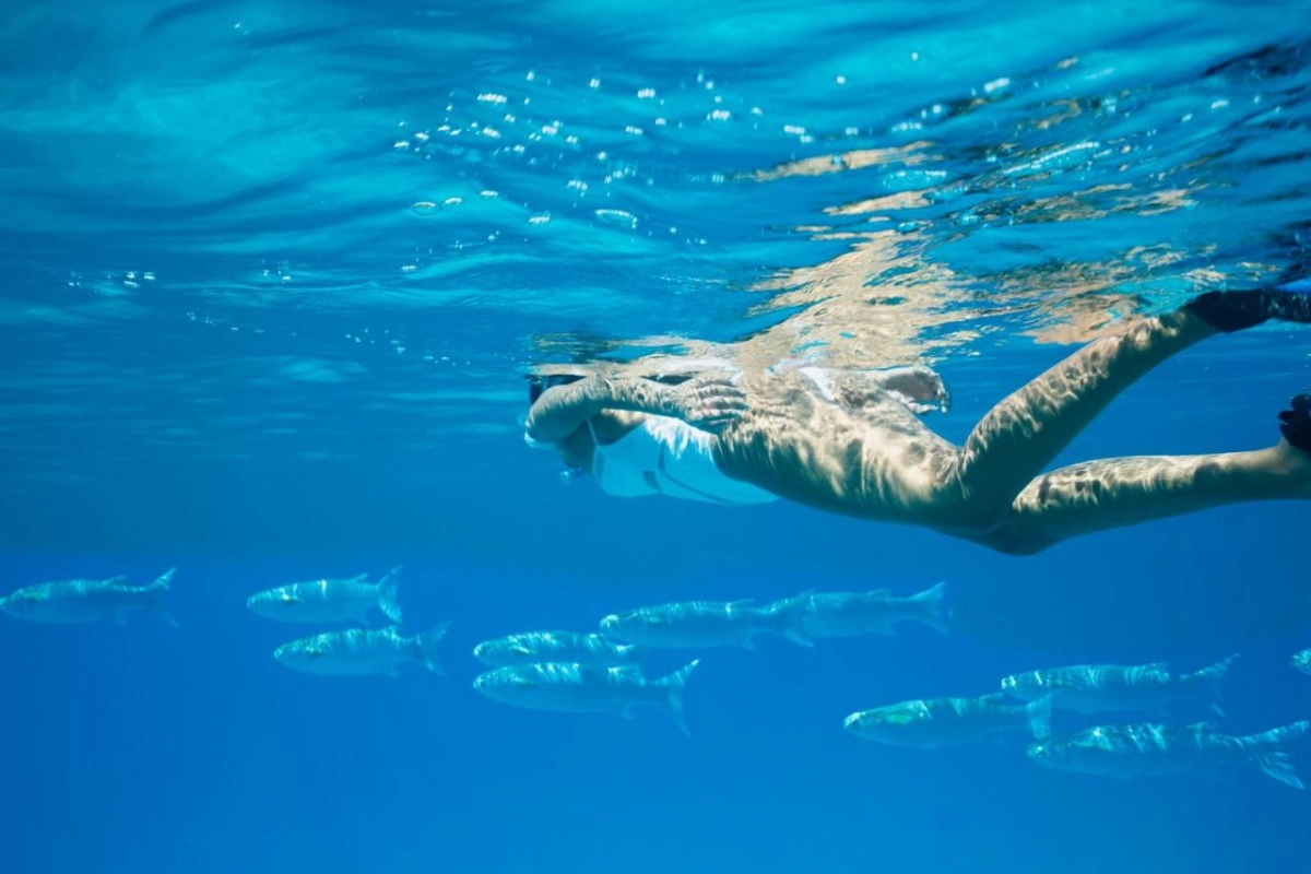 Raffles Seychelles - Hotel Photo 49