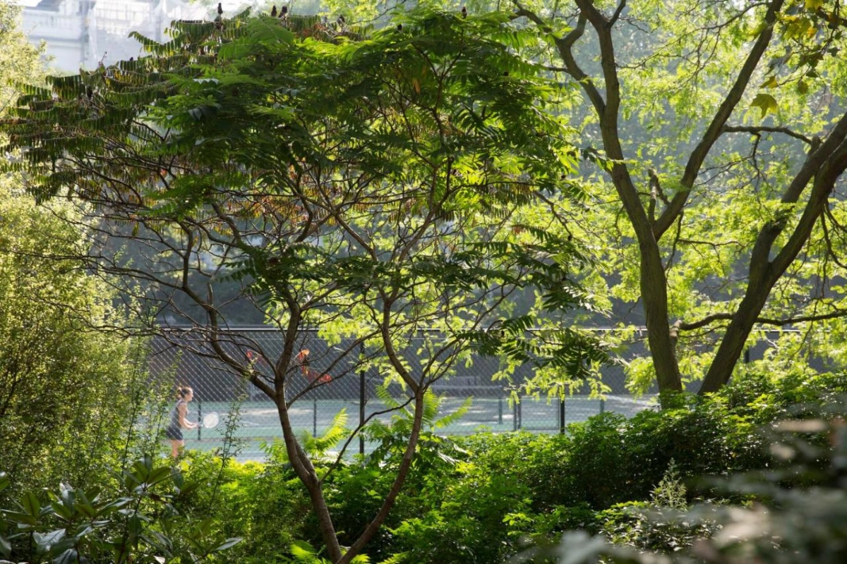 Jumeirah Carlton Tower - Hotel Photo 6