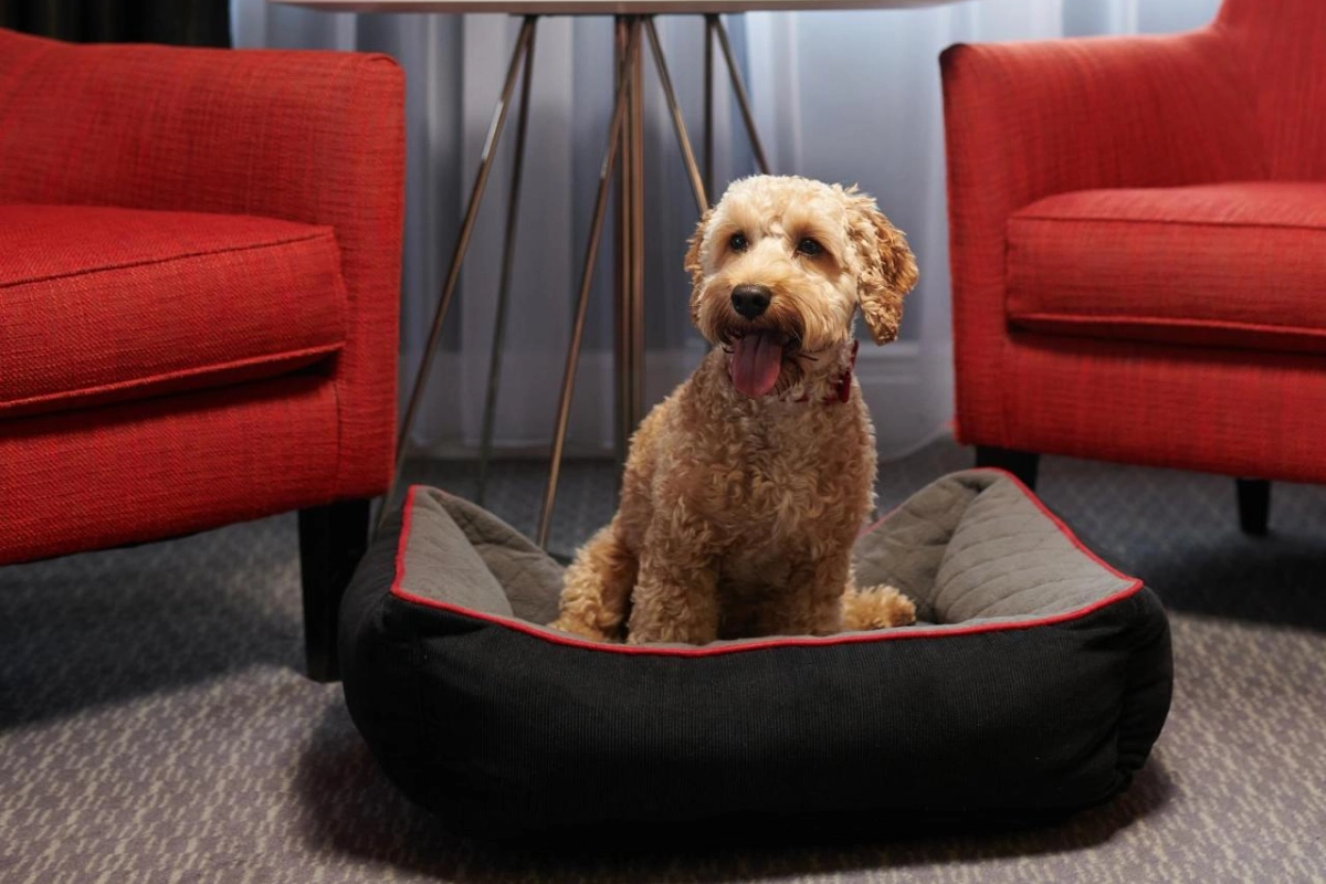 The Dilly - Hotel Photo 28