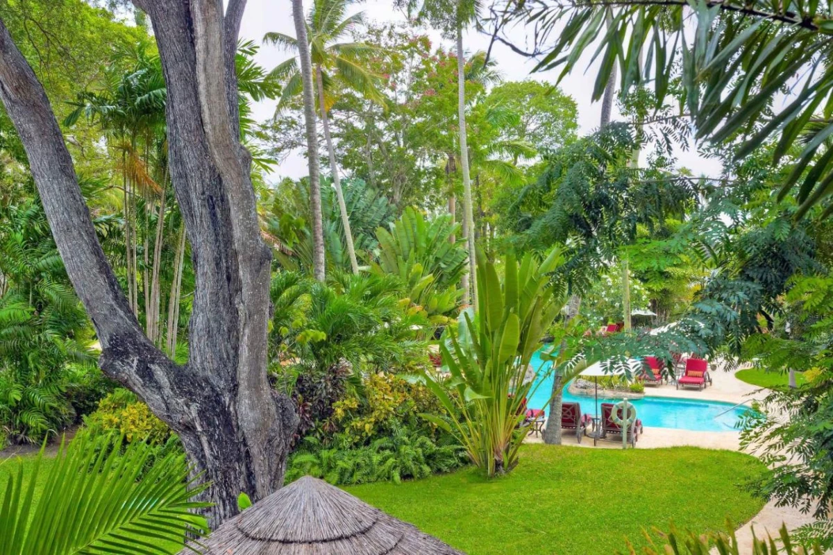 Colony Club, a Luxury Collection Resort - Hotel Photo 49