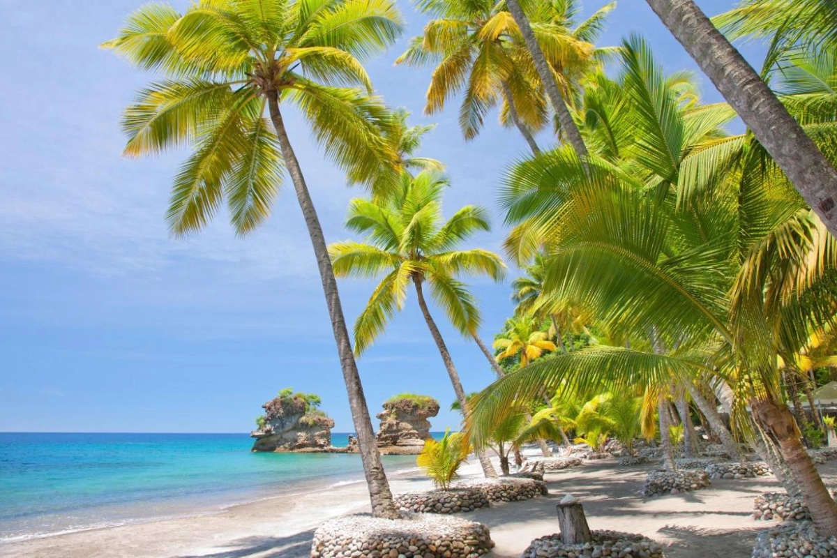 Anse Chastanet - Hotel Photo 17