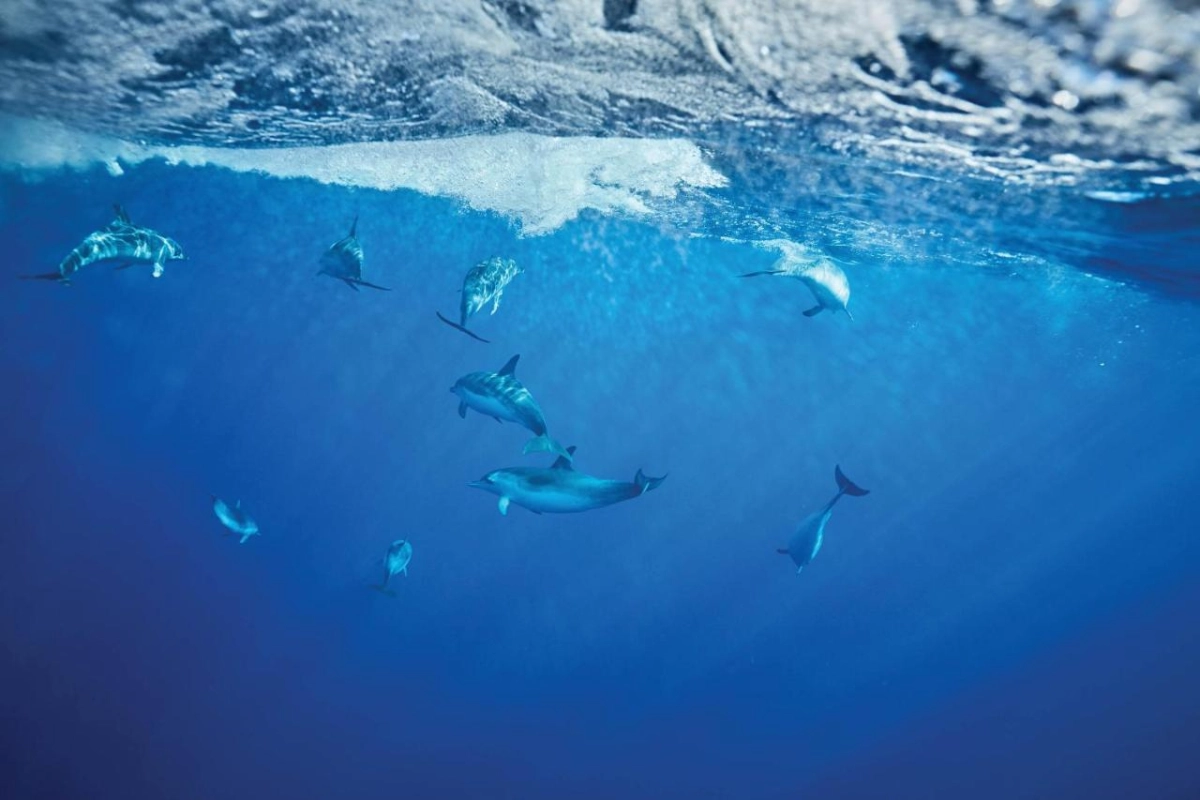 Reid's Palace A Belmond Hotel - Hotel Photo 30