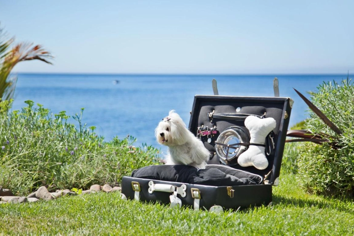 Farol Hotel - Hotel Photo 13