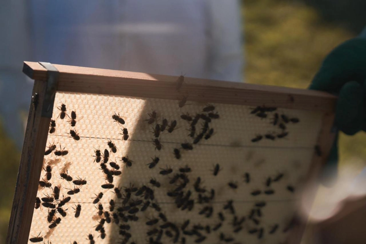 L'AND Vineyards Relais & Chateaux - Hotel Photo 31