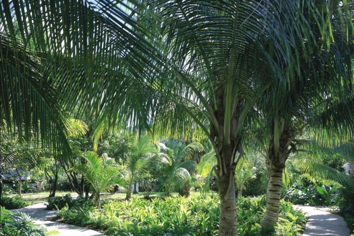 Carlisle Bay - Hotel Photo 33