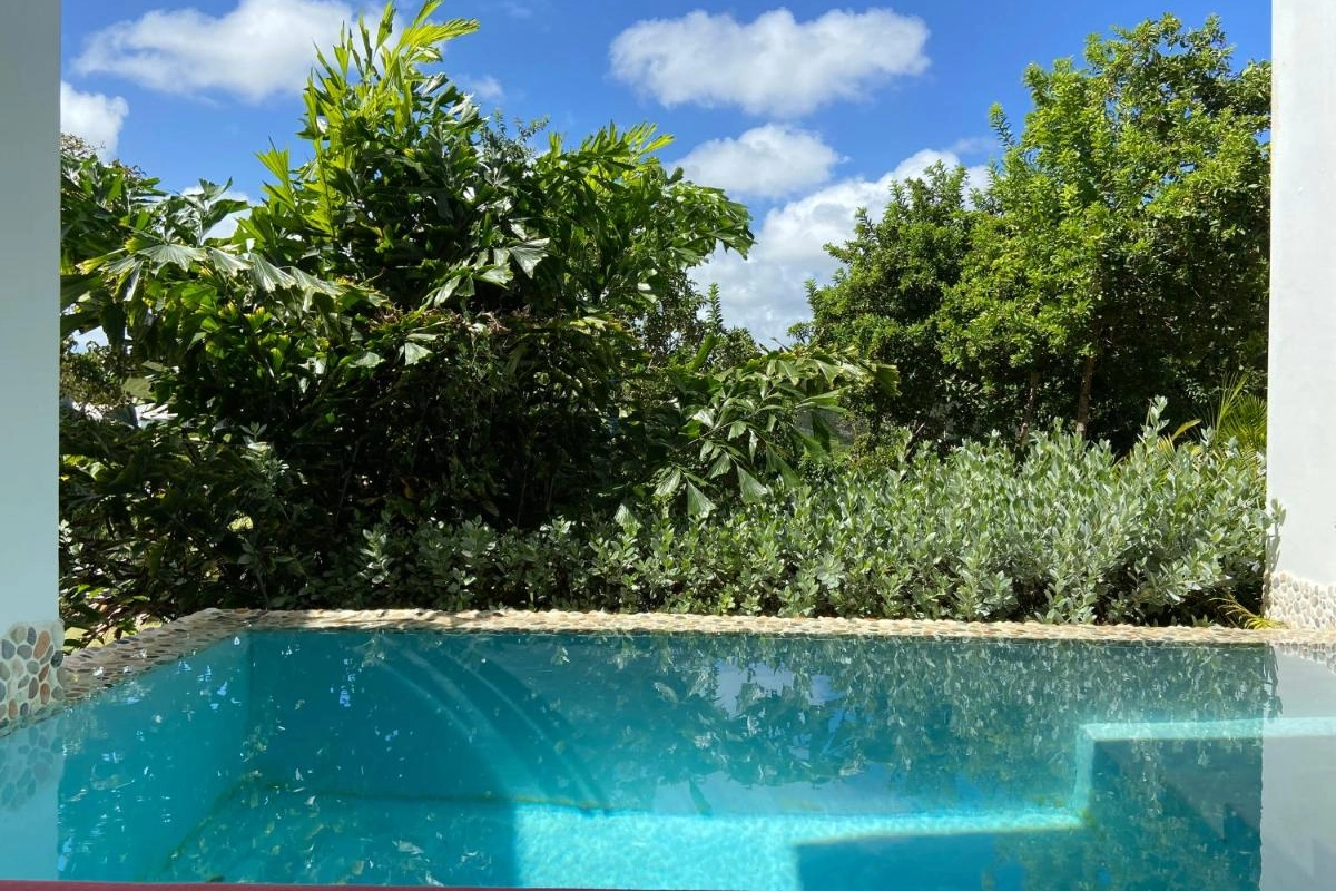 The Escape at Nonsuch Bay - Hotel Photo 6