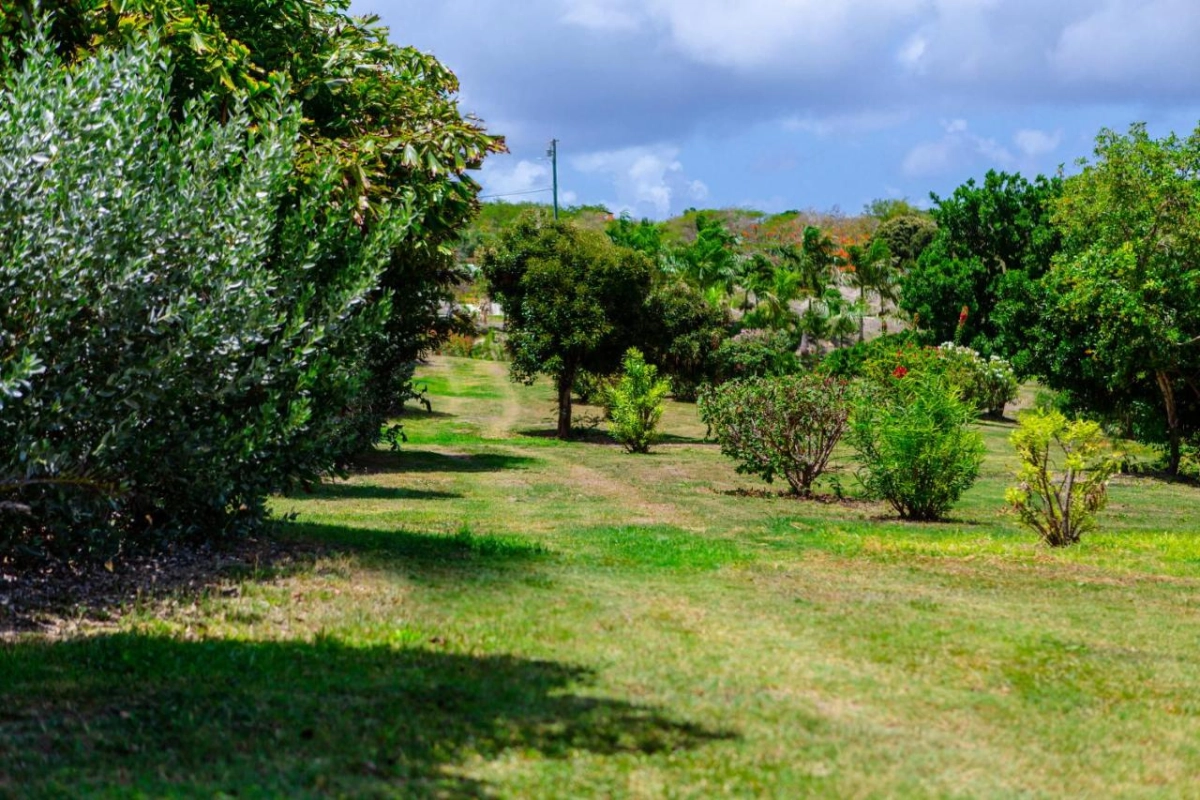 The Escape at Nonsuch Bay - Hotel Photo 18