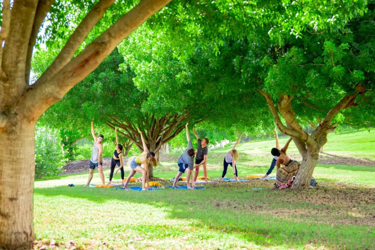 The Escape at Nonsuch Bay - Hotel Photo 26