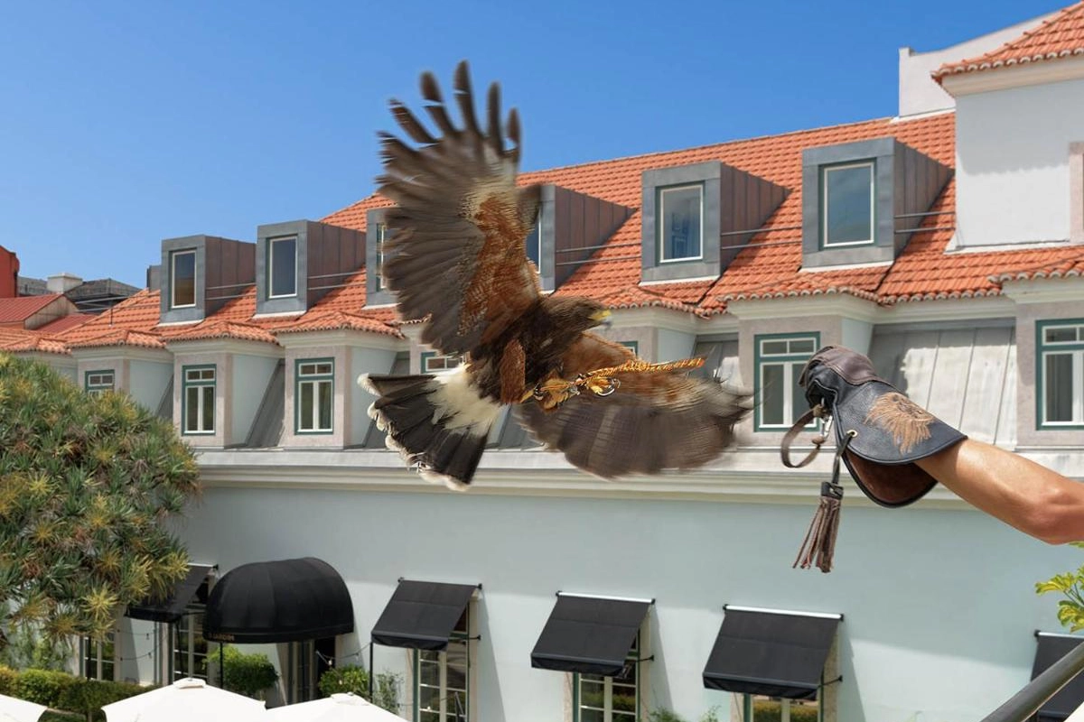 The One Palacio Da Anunciada - Hotel Photo 48