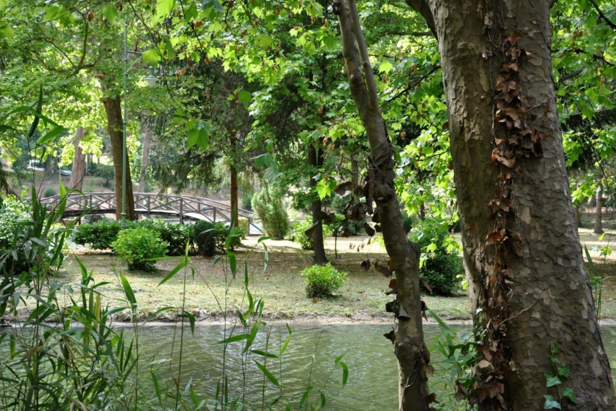 Vidago Palace - Hotel Photo 34