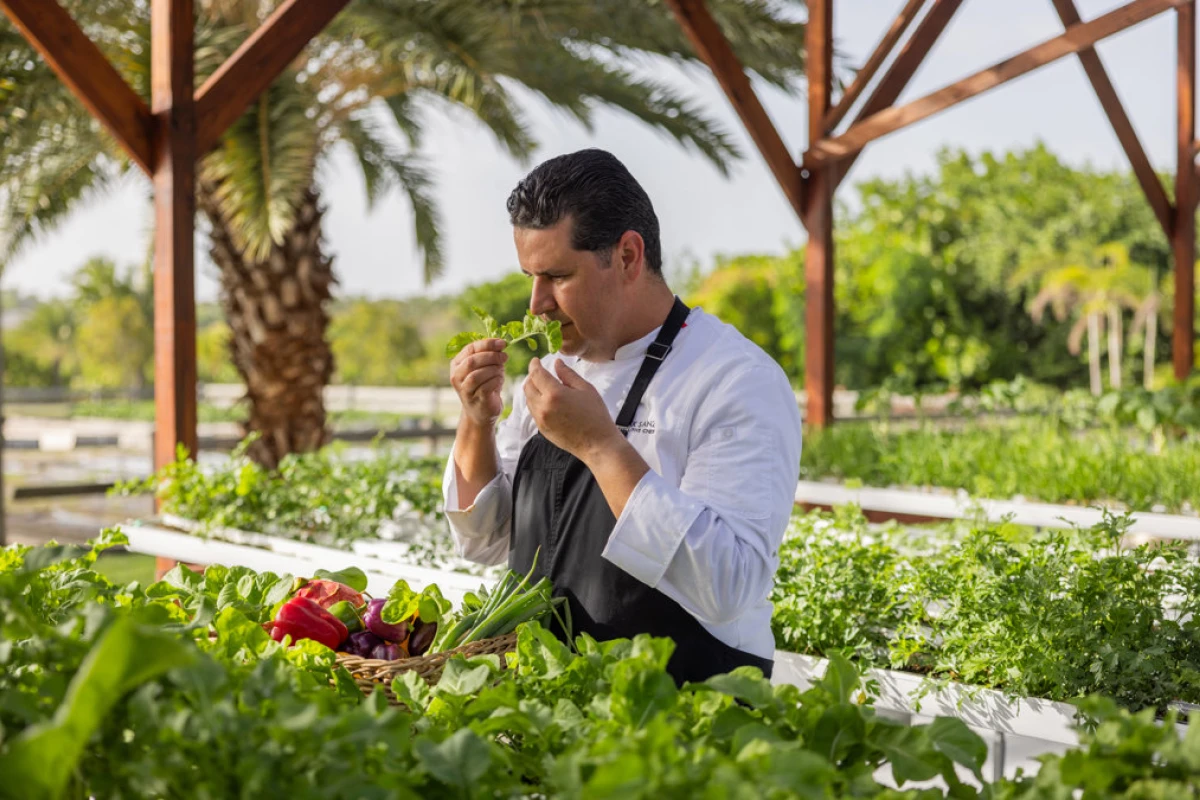 Jumby Bay Island, An Oetker Collection Hotel - Hotel Photo 42