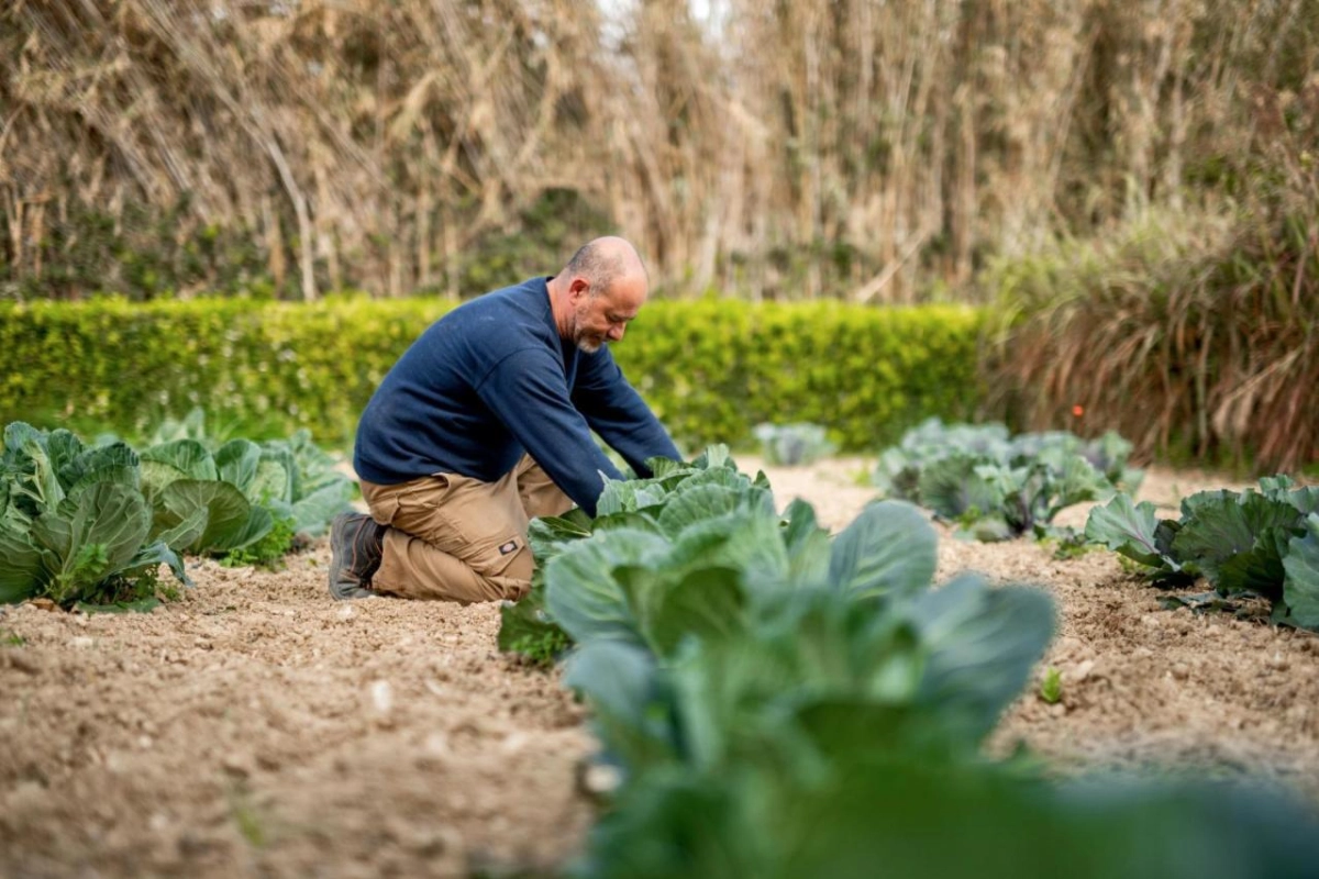 Kempinski Hotel San Lawrenz Gozo - Hotel Photo 3