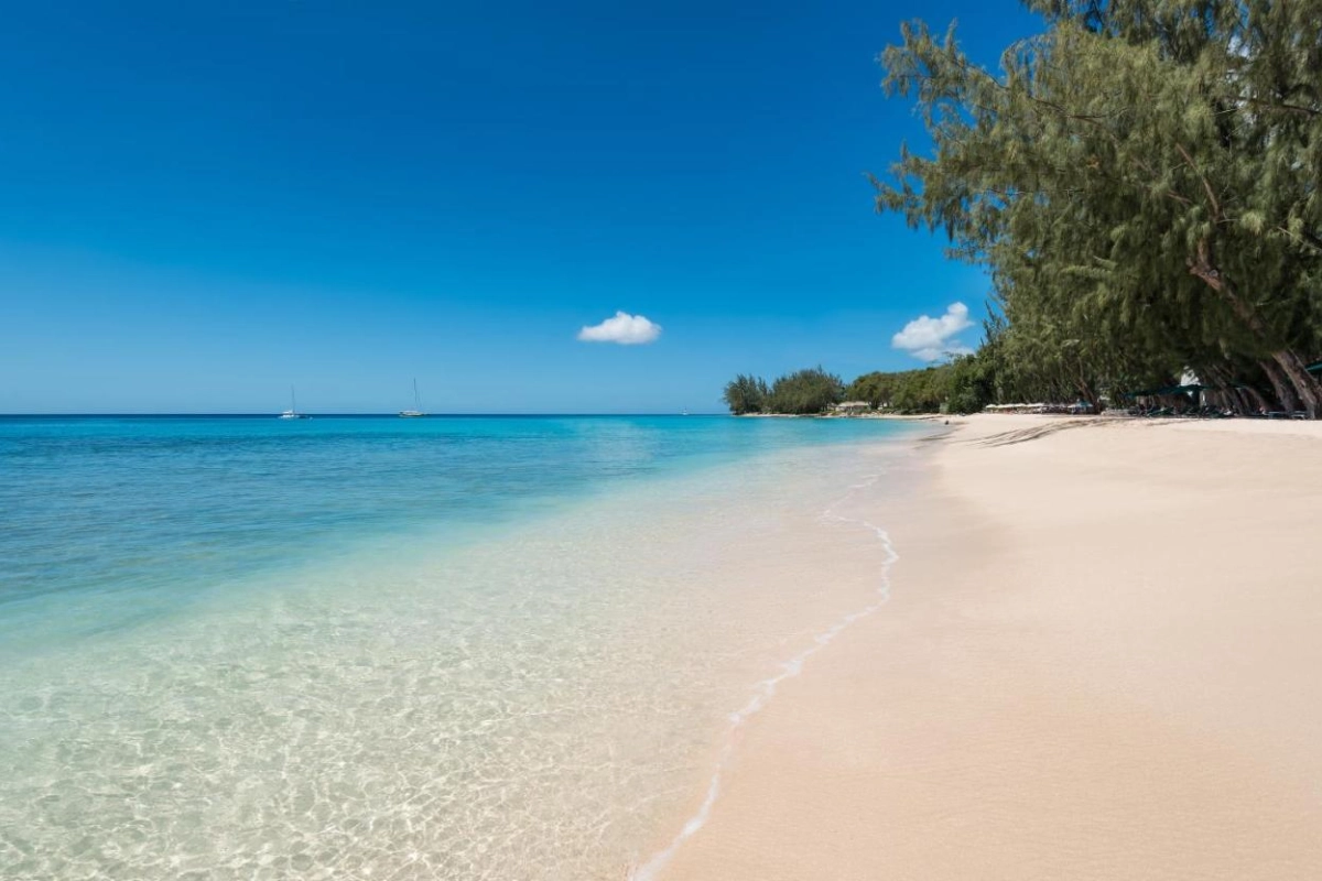 Coral Reef Club - Hotel Photo 44