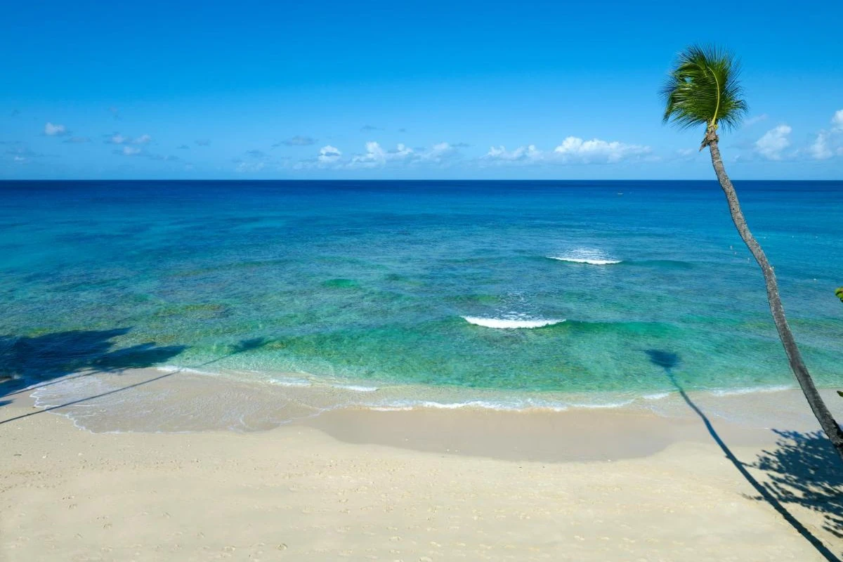 Tamarind Barbados, Autograph Collection Resort - Hotel Photo 13