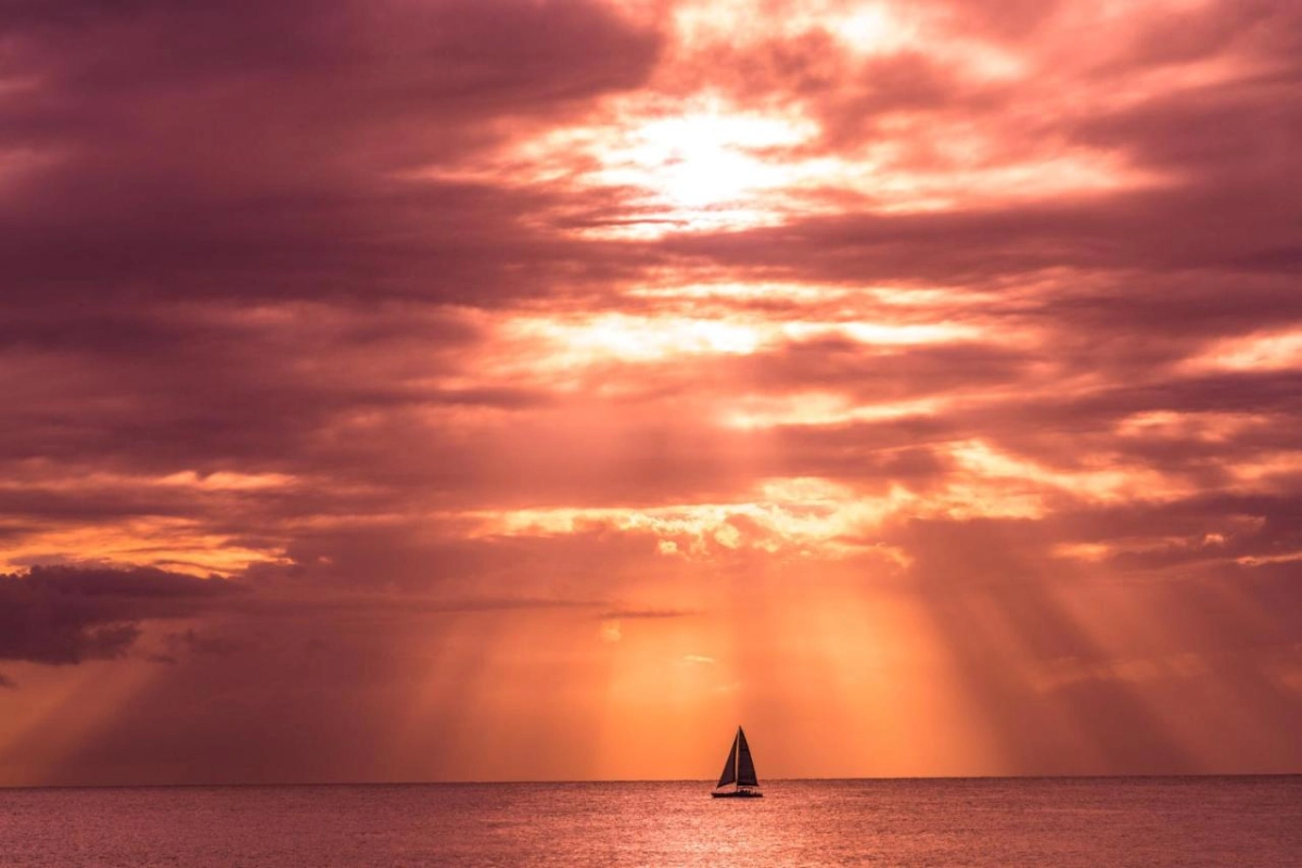 The Sandpiper - Hotel Photo 61