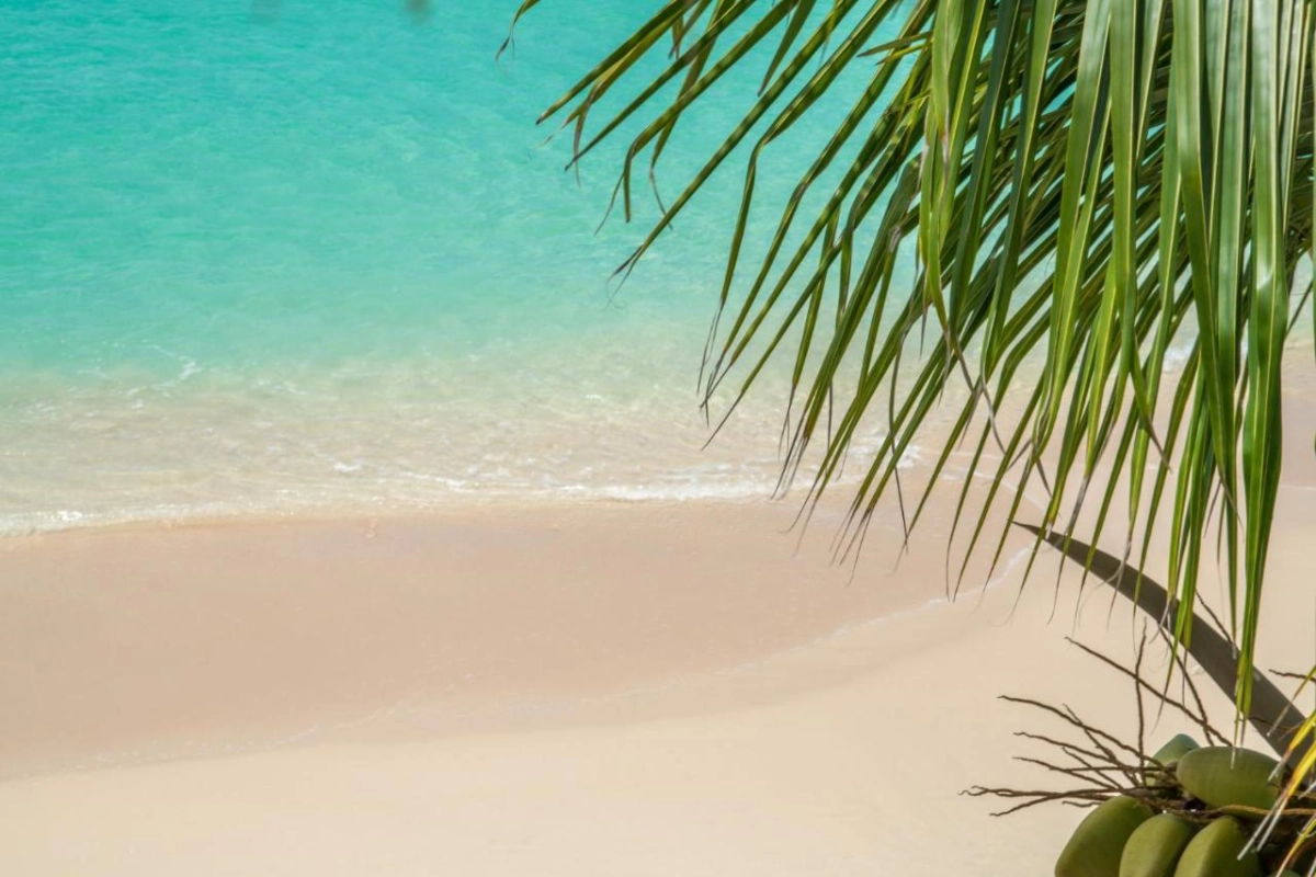 The Sandpiper - Hotel Photo 62