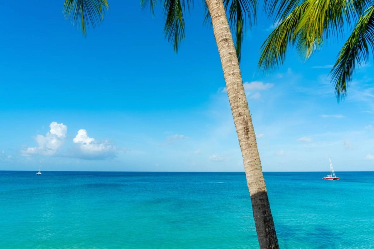 The Sandpiper - Hotel Photo 64