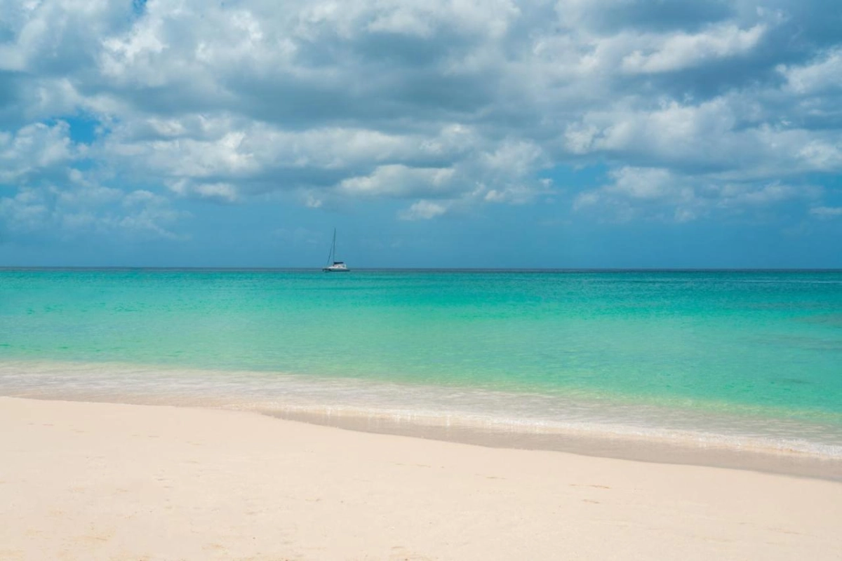 The Sandpiper - Hotel Photo 66