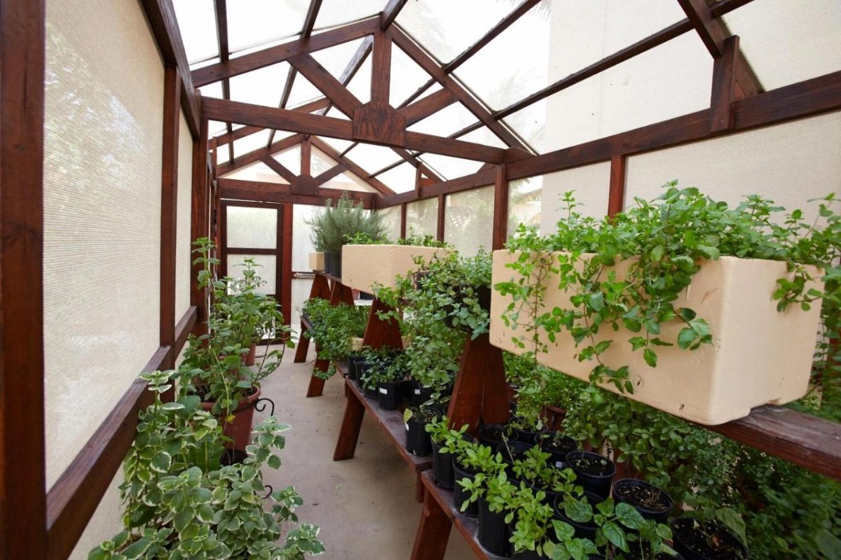 Manchebo Beach Resort - Hotel Photo 13