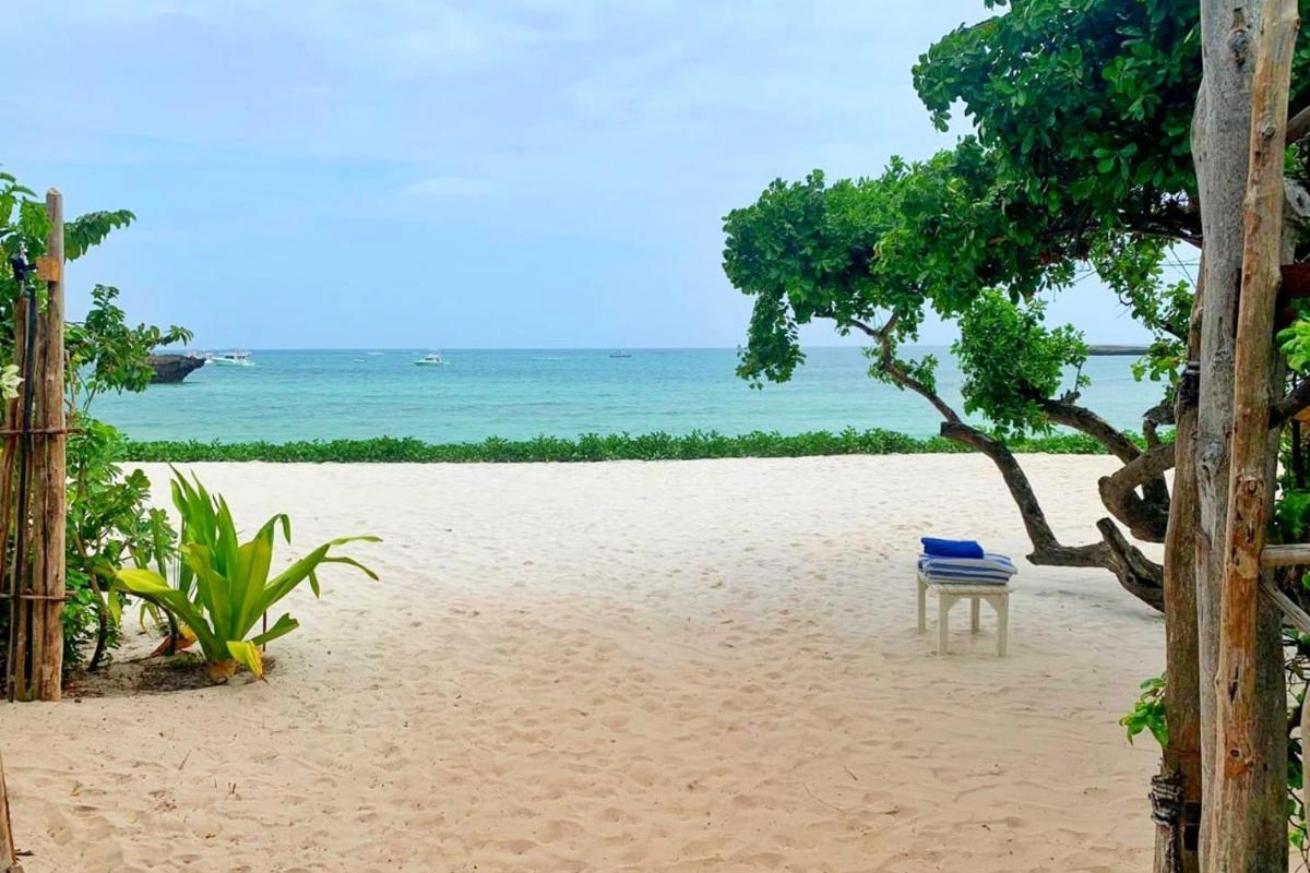 Medina Palms - Hotel Photo 5