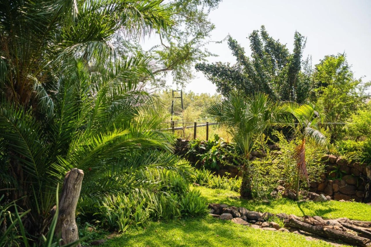 Chobe Water Villas - Hotel Photo 7