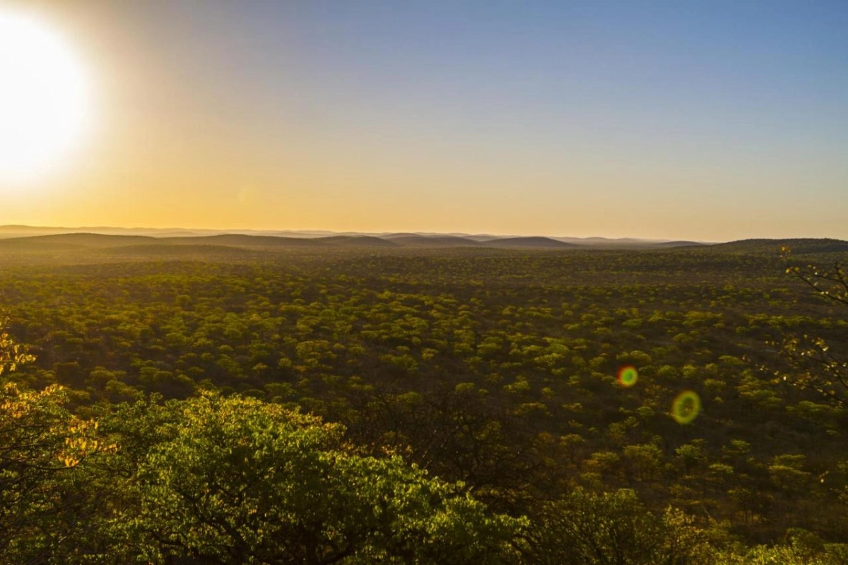 Epacha Game Lodge & Spa - Hotel Photo 3