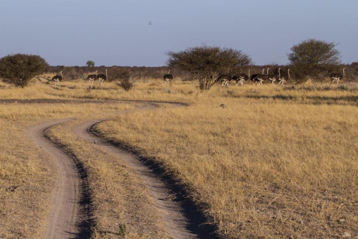 Epacha Game Lodge & Spa - Hotel Photo 27