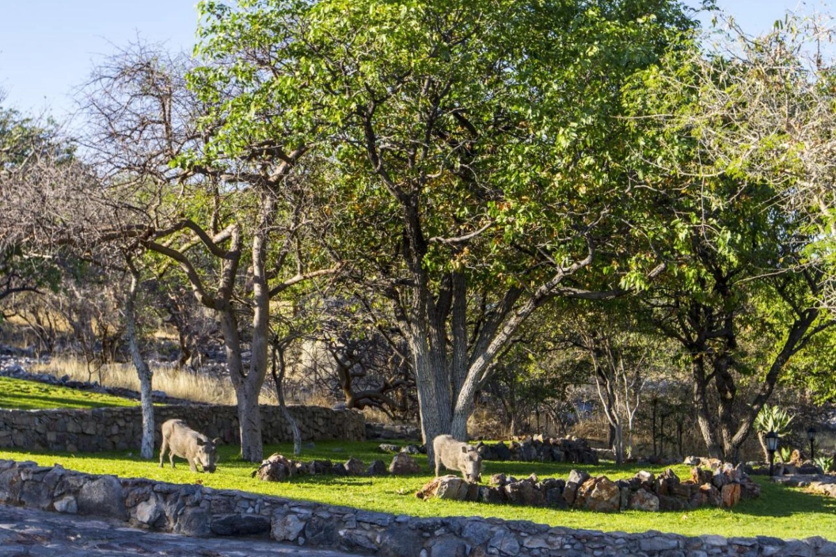 Epacha Game Lodge & Spa - Hotel Photo 28