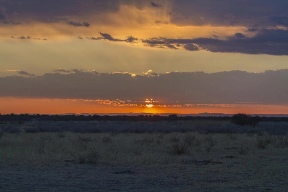 Epacha Game Lodge & Spa - Hotel Photo 31