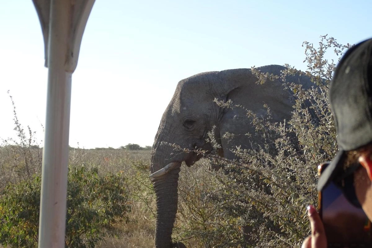 Etosha King Nehale - Hotel Photo 10