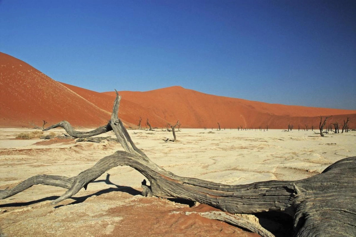 Le Mirage Resort & Spa - Hotel Photo 19