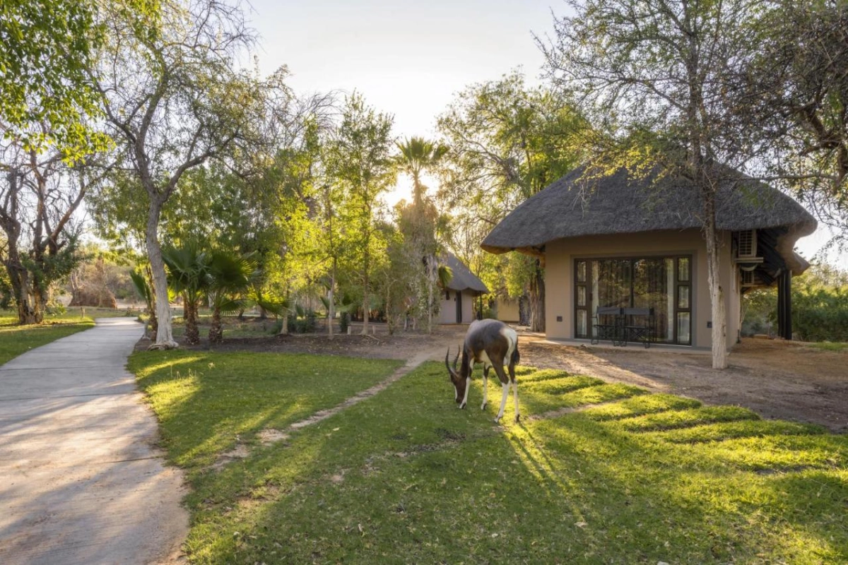Mokuti Etosha - Hotel Photo 3