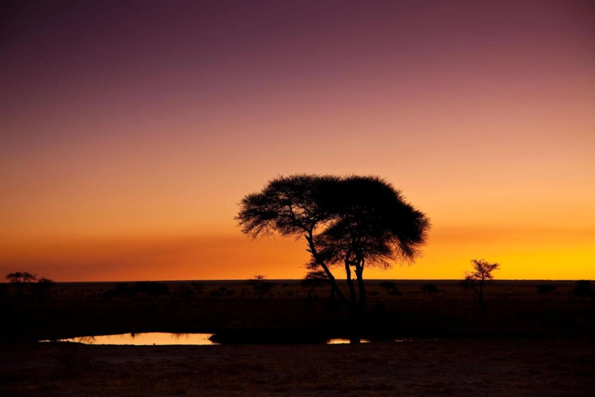 Mokuti Etosha - Hotel Photo 20