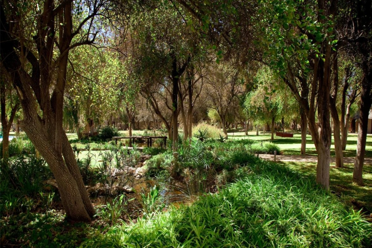 Mokuti Etosha - Hotel Photo 24