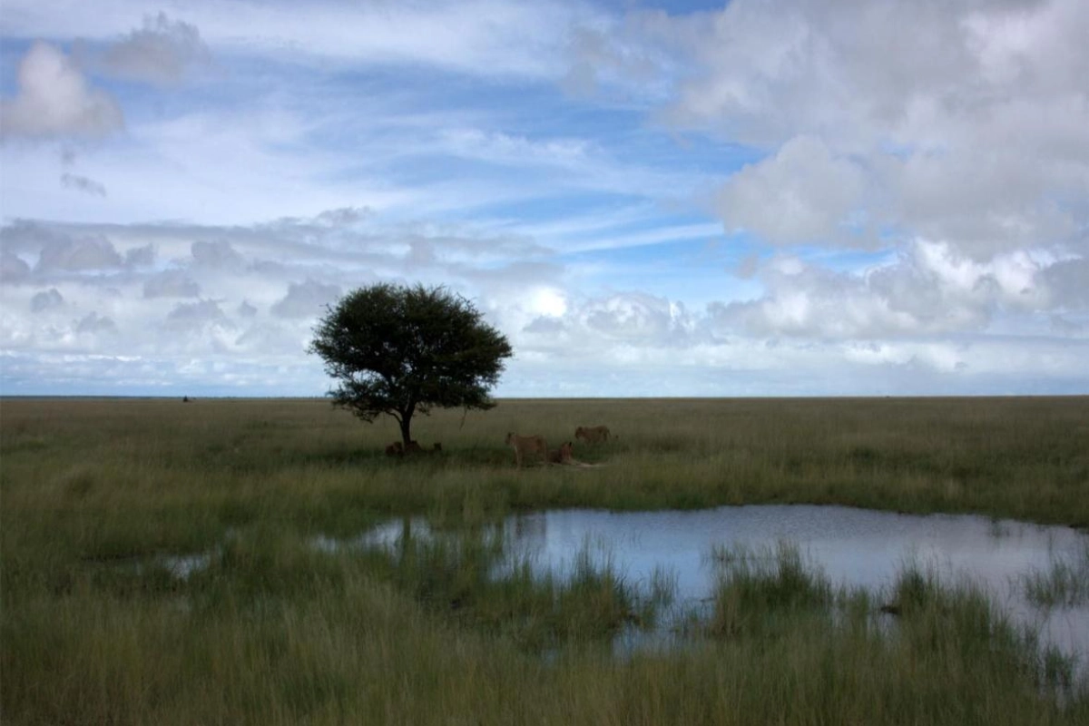 Mokuti Etosha - Hotel Photo 26