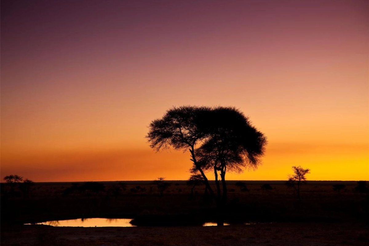 Mokuti Etosha - Hotel Photo 28