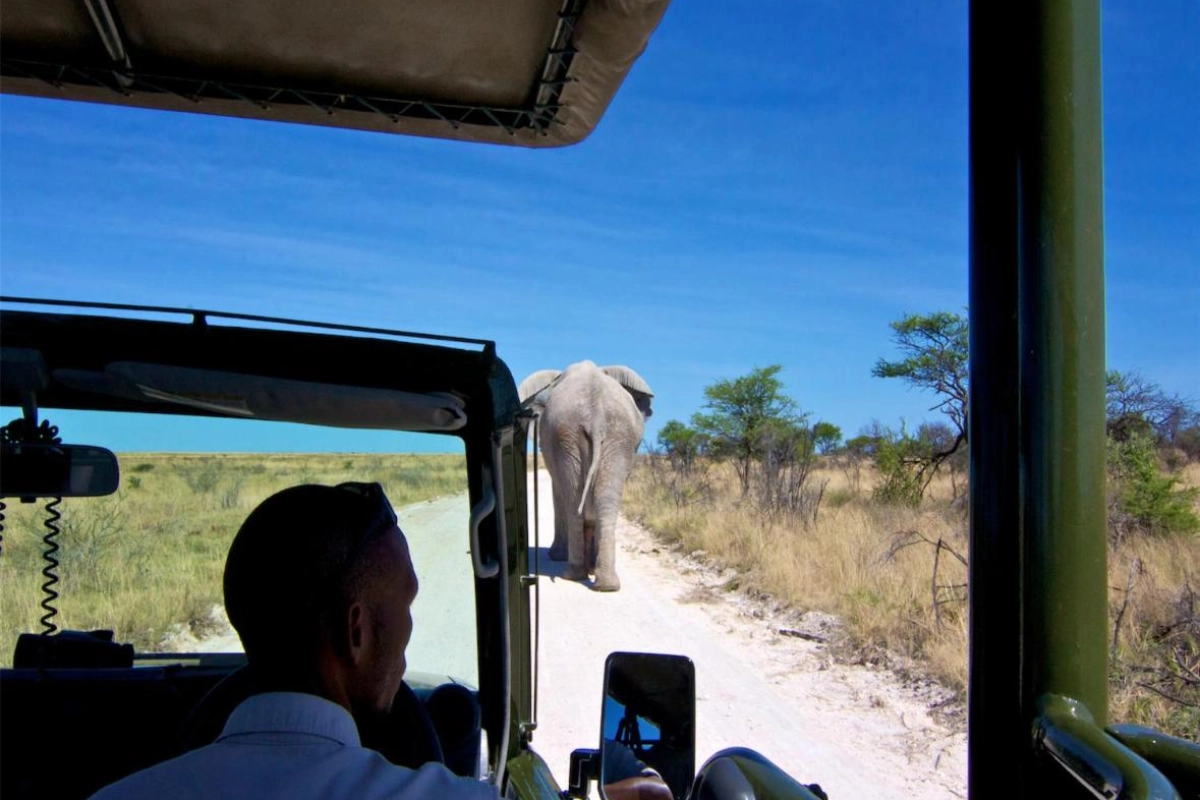 Mokuti Etosha - Hotel Photo 35