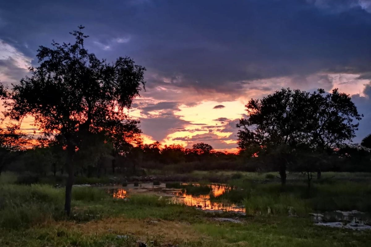 Mokuti Etosha - Hotel Photo 48