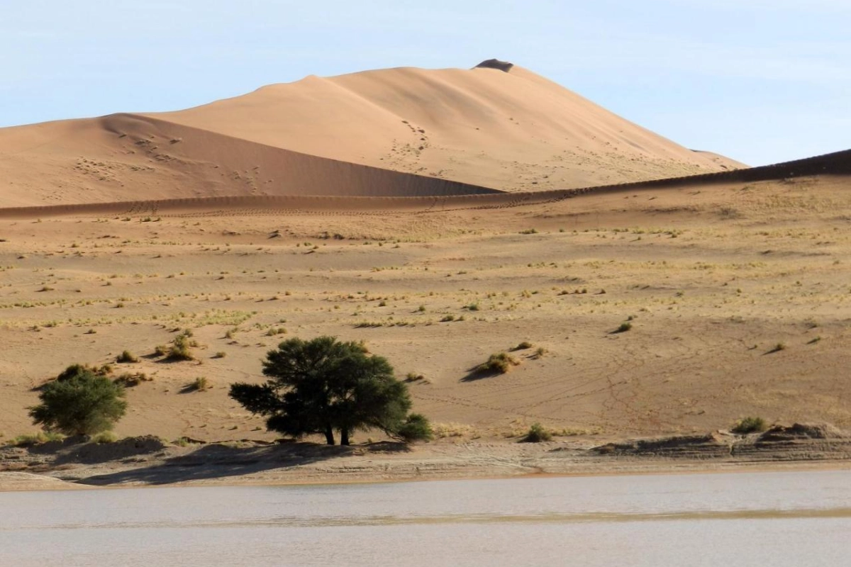Sossusvlei Lodge - Hotel Photo 3