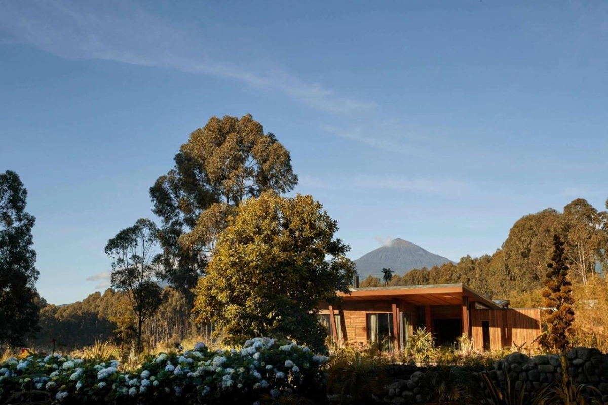 One & Only Gorilla's Nest - Hotel Photo 43