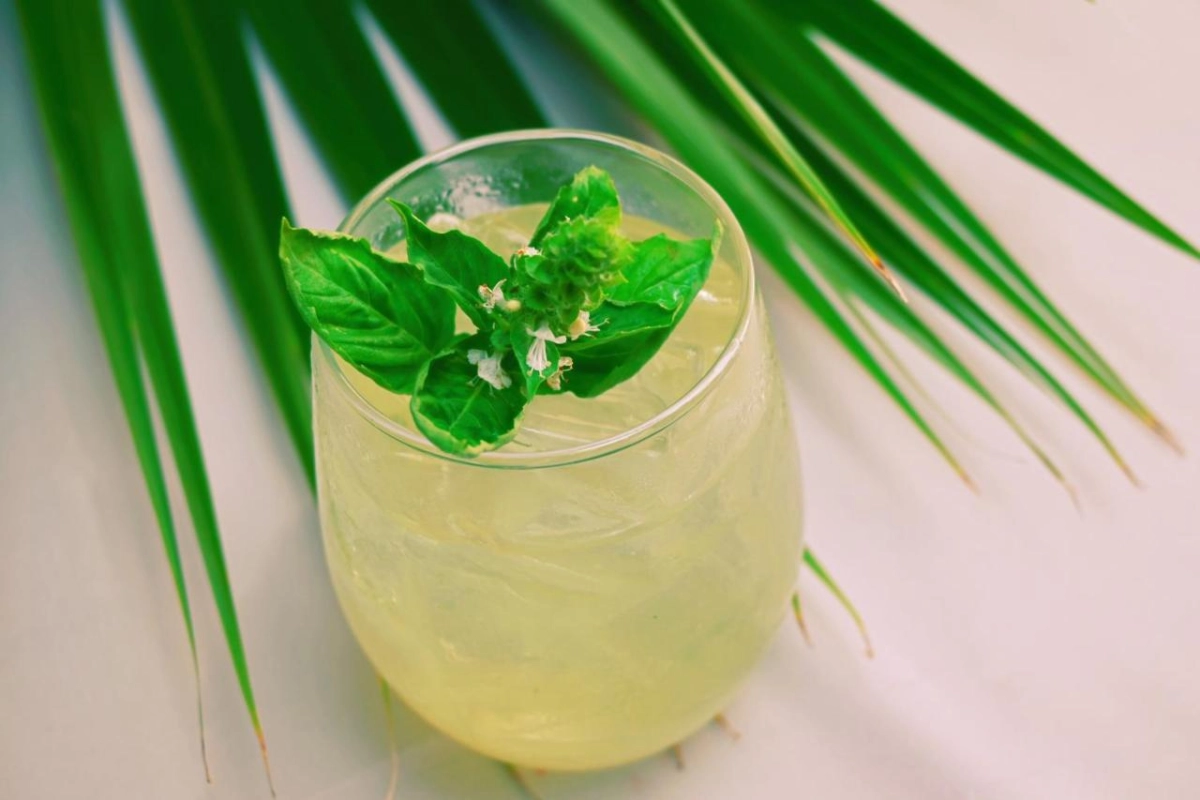 Mount Cinnamon Resort & Beach Club - Hotel Photo 38