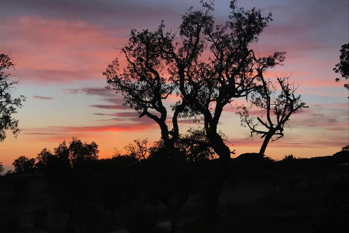 Sublime Comporta - Hotel Photo 11