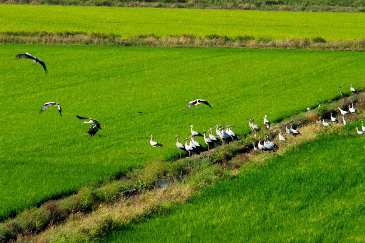 Sublime Comporta - Hotel Photo 15