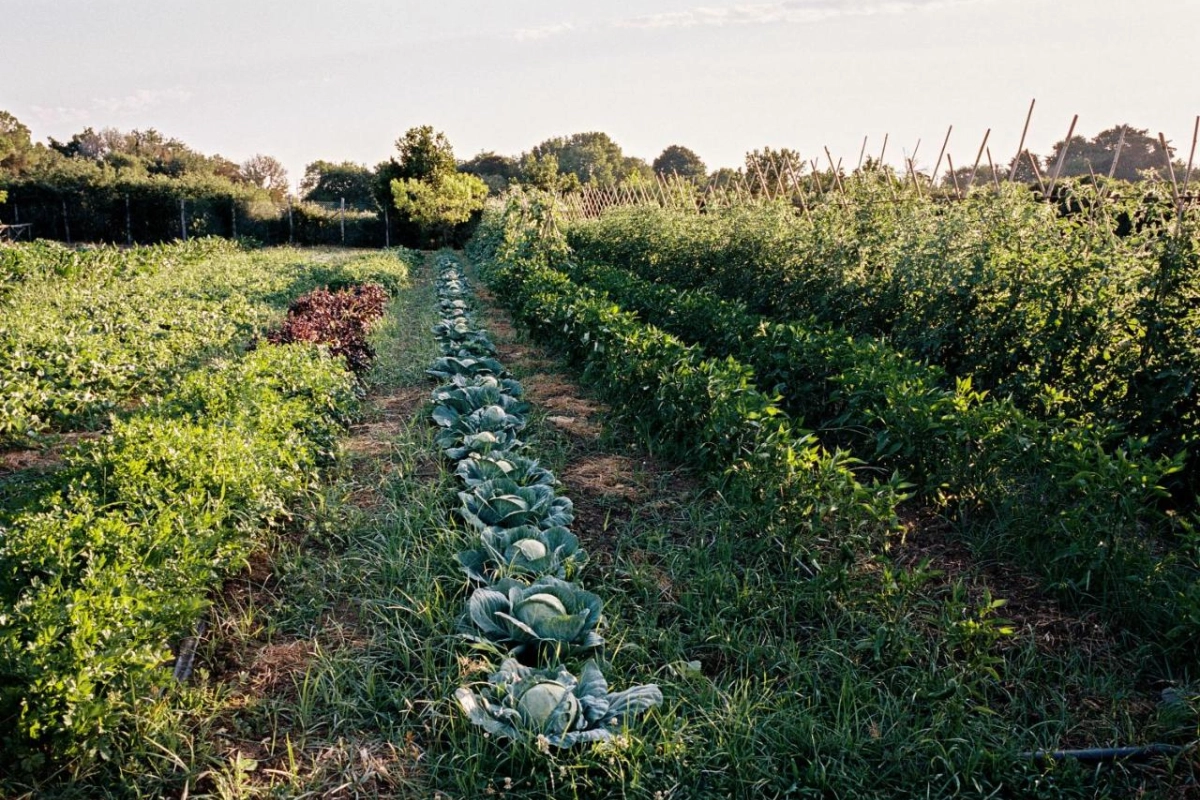 La Posta Vecchia Hotel - Hotel Photo 21