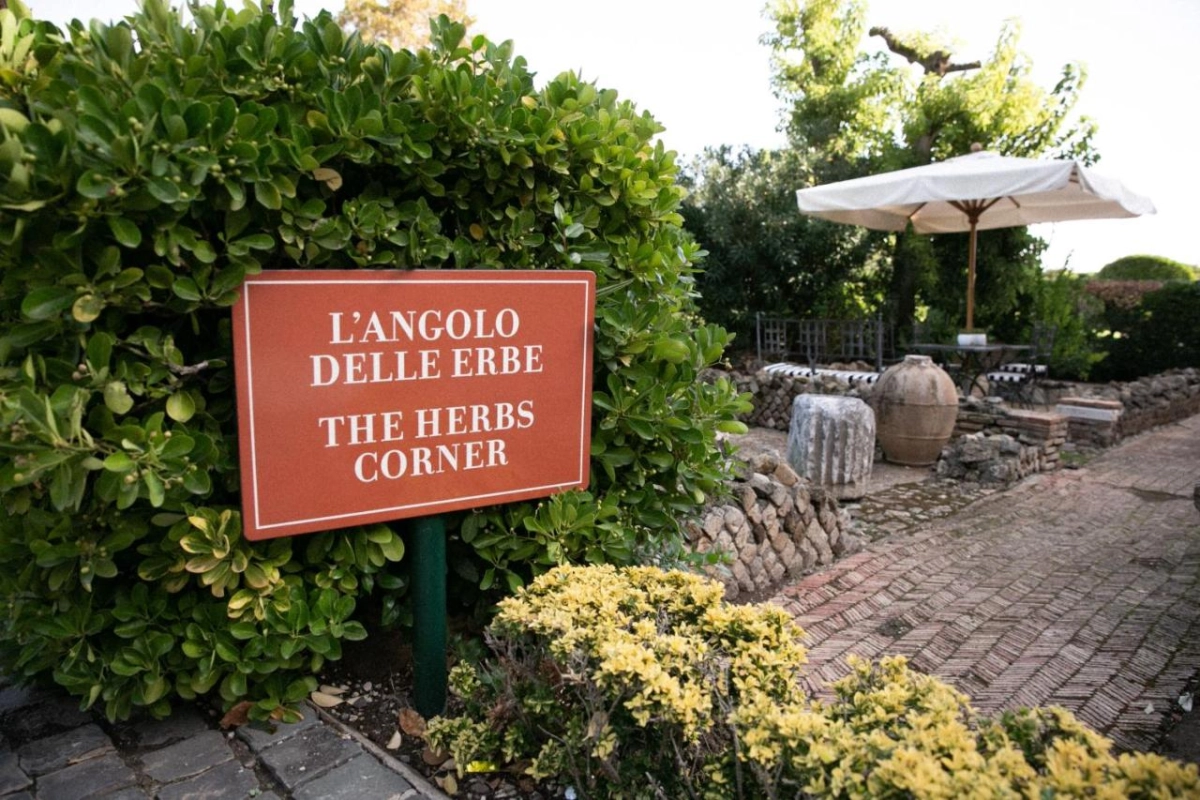 La Posta Vecchia Hotel - Hotel Photo 23