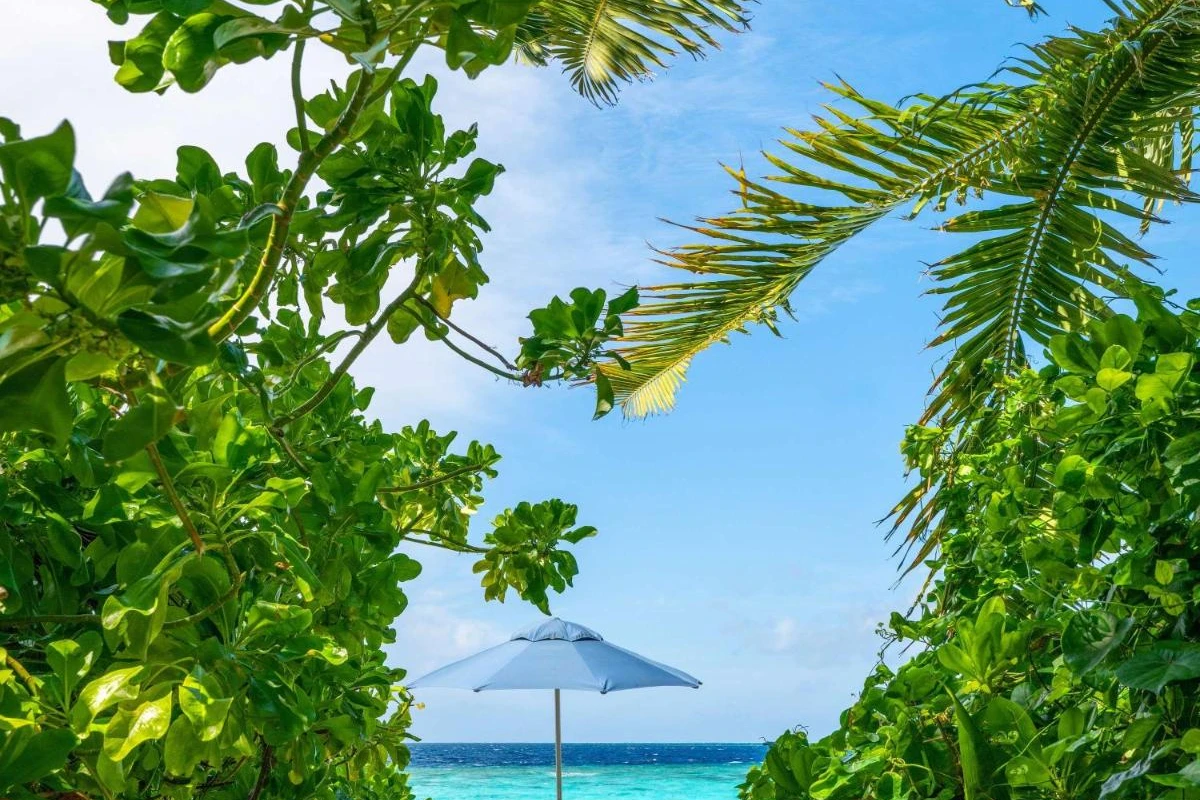 Raffles Maldives Meradhoo - Hotel Photo 34