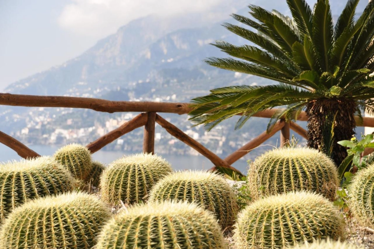 Botanico San Lazzaro - Hotel Photo 18