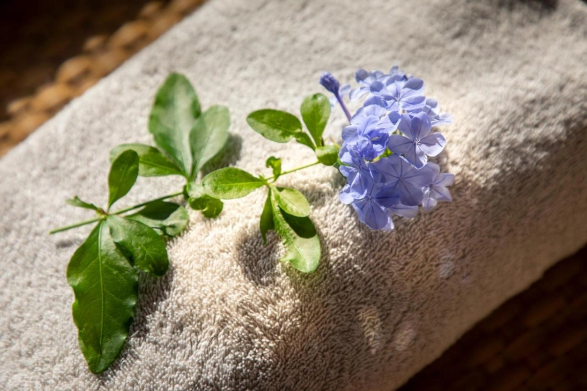 Monastero Santa Rosa Hotel & Spa - Hotel Photo 16