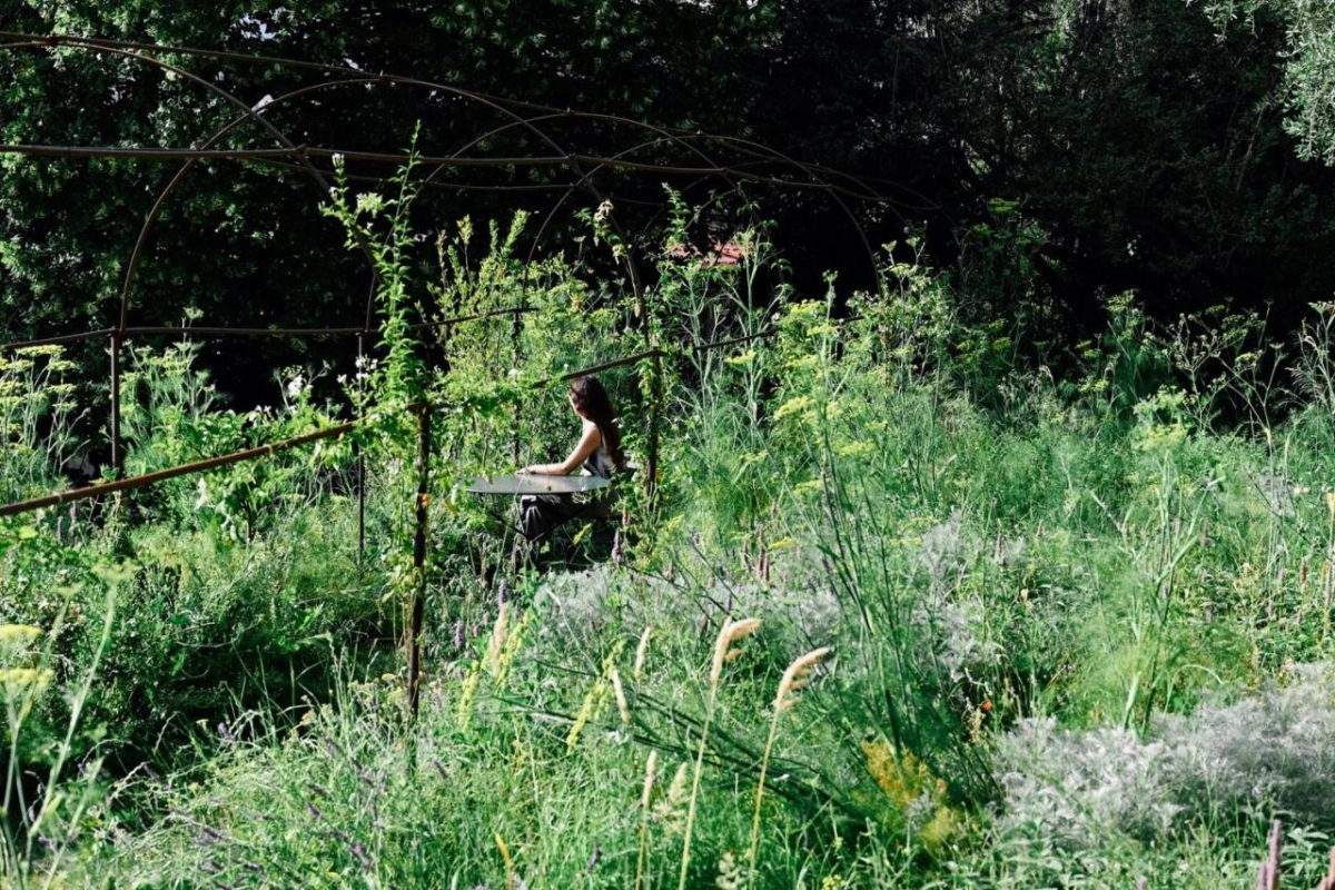 Hotel Du Couvent, A Luxury Collection Hotel - Hotel Photo 12